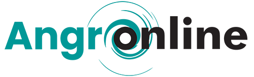 Angro Online Angro Online